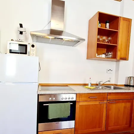 Elena Flat Tulpe Zentrum دوسبرغ