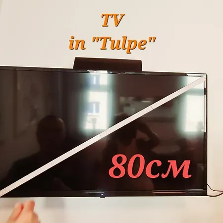 Apartment Elena Flat Tulpe Zentrum