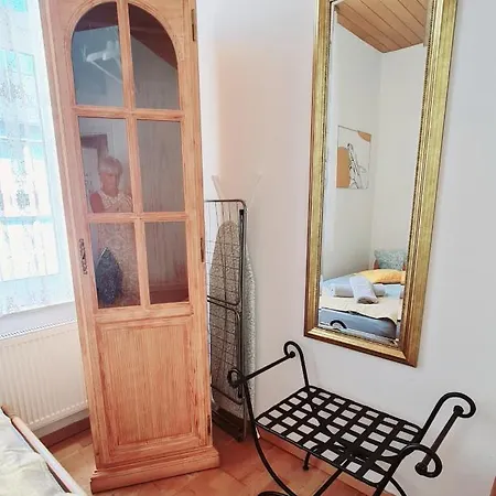 Elena Flat Tulpe Zentrum * دوسبرغ