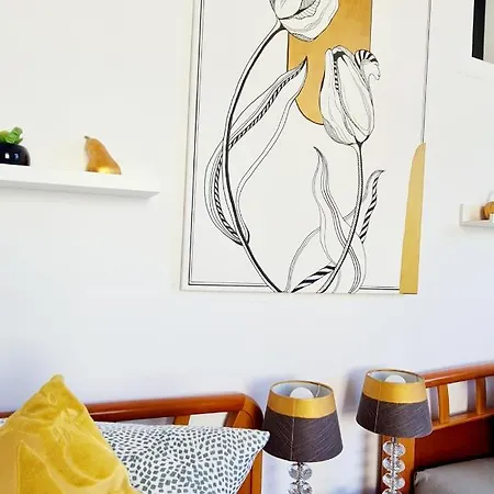 Elena Flat Tulpe Zentrum دوسبرغ