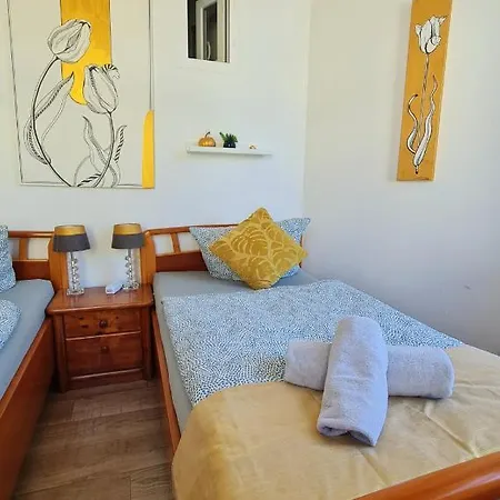 Elena Flat Tulpe Zentrum