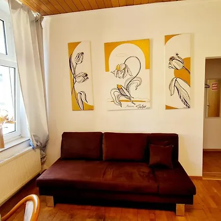 Elena Flat Tulpe Zentrum * دوسبرغ