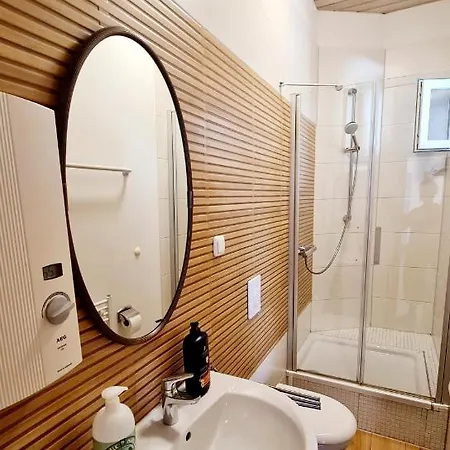 Elena Flat Tulpe Zentrum دوسبرغ