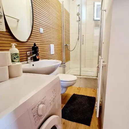 Elena Flat Tulpe Zentrum