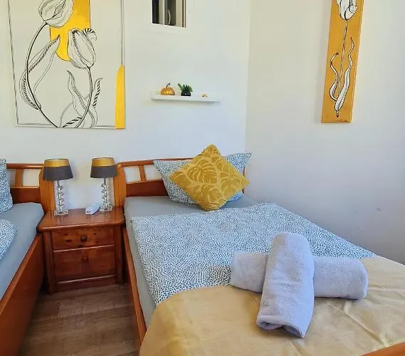 Elena Flat Tulpe Zentrum