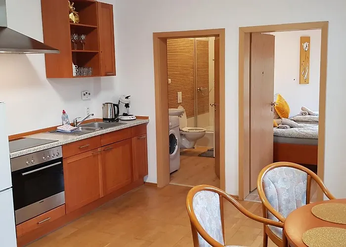 Elena Flat Tulpe Zentrum * Duisburgo